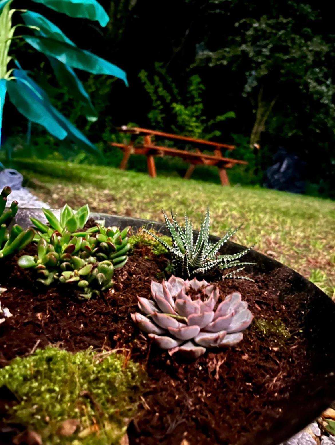 Tiki House M-Home-Climatise - Belle Parcelle ! Saint-Chéron المظهر الخارجي الصورة