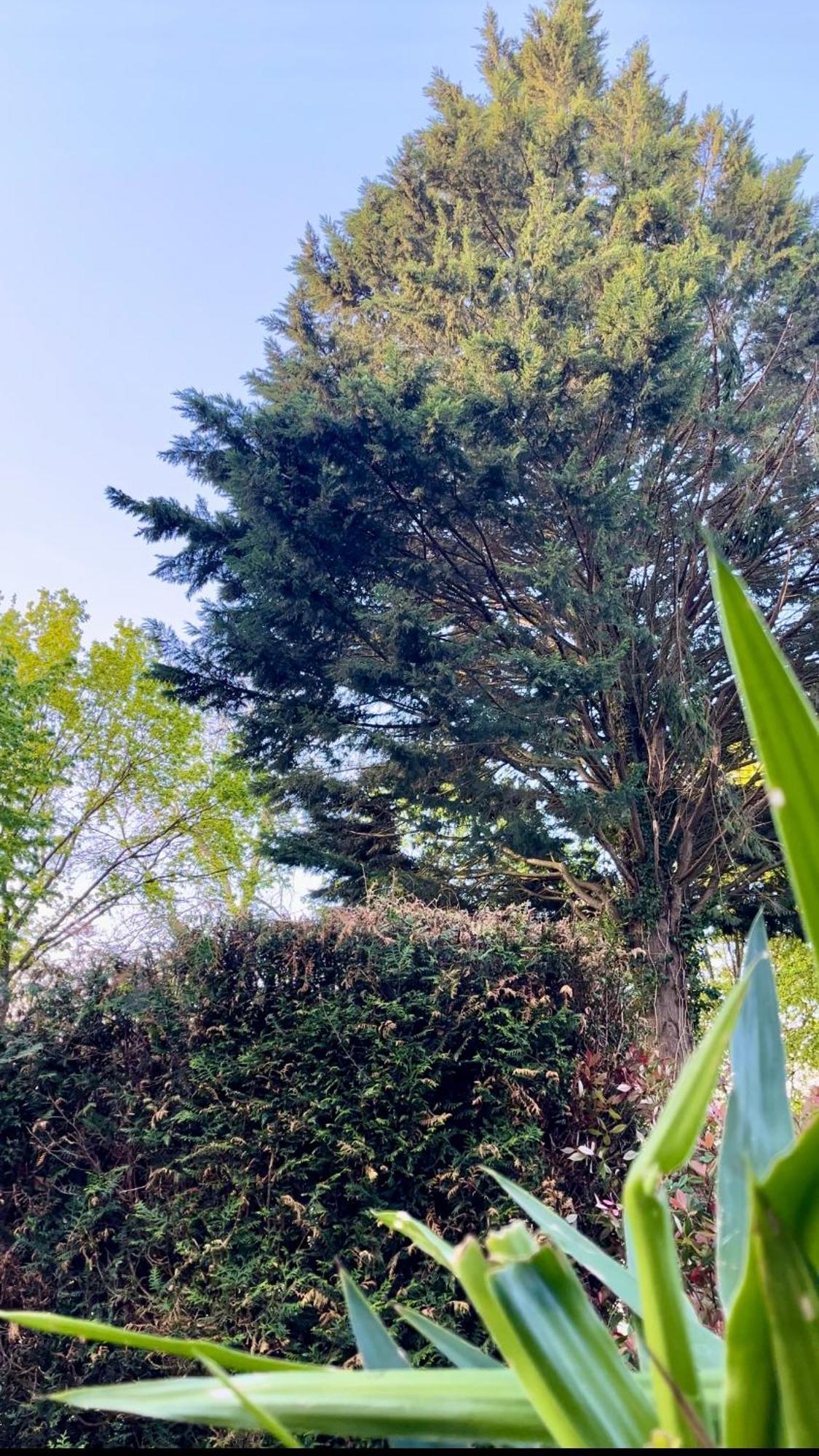 Tiki House M-Home-Climatise - Belle Parcelle ! Saint-Chéron المظهر الخارجي الصورة